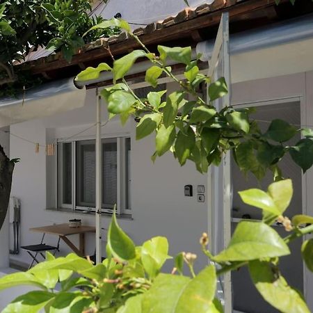 Stamatis Apartment アギオス・ゲオルギオス エクステリア 写真