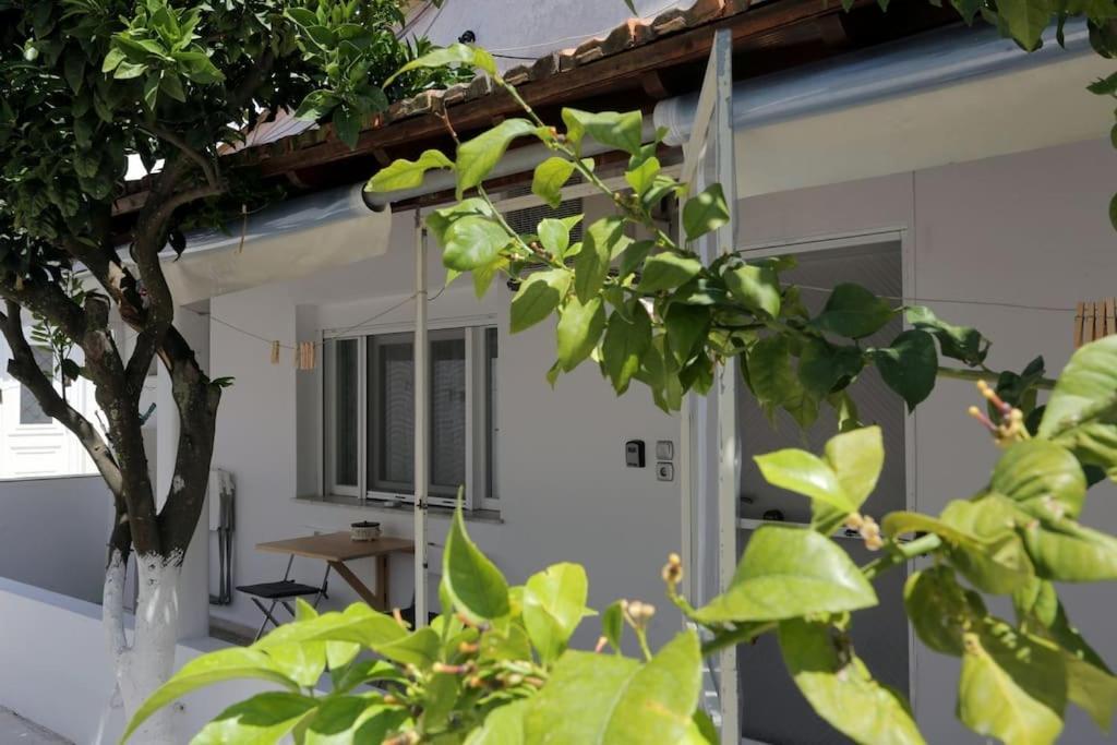 Stamatis Apartment アギオス・ゲオルギオス エクステリア 写真